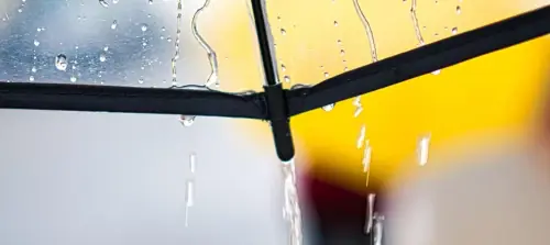 Weather You Like It Or Not